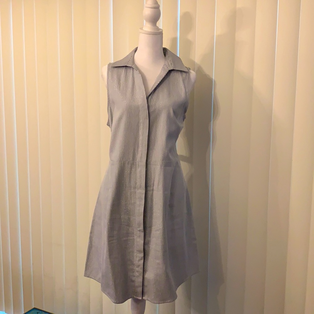 Blue metallic stripe button down dress